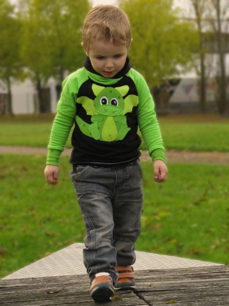 eBook Raglanshirt "Svensson Mini" Gr. 62 bis 116